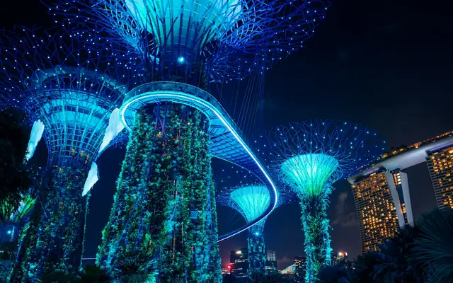 Supertree Grove at Gardens by the Bay lit up at night