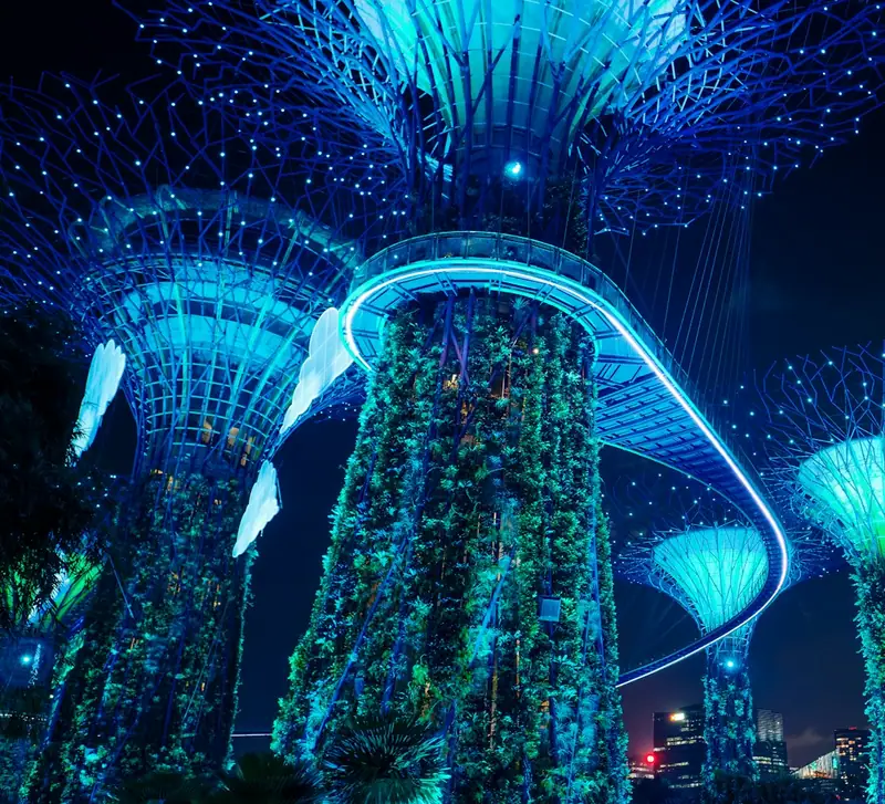 Gardens by the Bay lit up at night